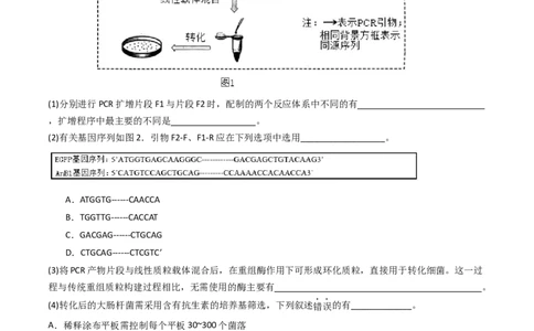 专题25基因工程（原卷卷）_近10年高考真题汇编（必刷）_十年（2014-2024）高考生物真题分项汇编（全国通用）_十年（2014-2023）高考生物真题分项汇编（全国通用）
