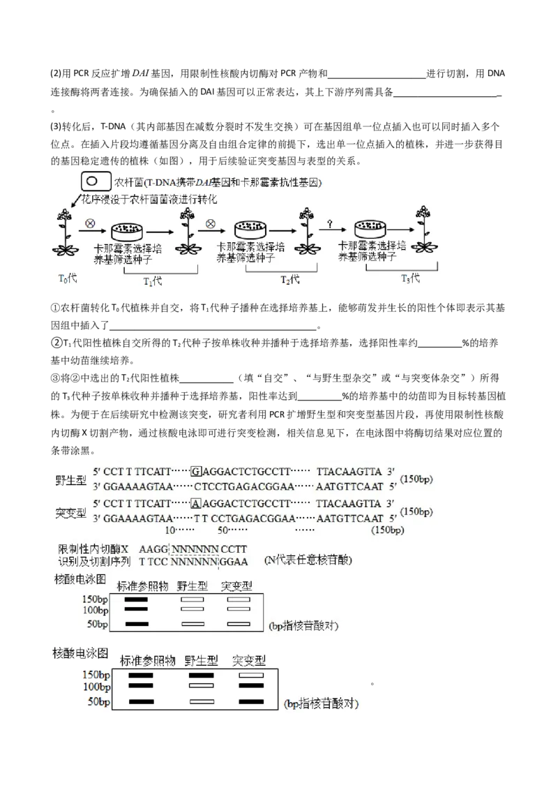 专题25基因工程（原卷卷）_近10年高考真题汇编（必刷）_十年（2014-2024）高考生物真题分项汇编（全国通用）_十年（2014-2023）高考生物真题分项汇编（全国通用）