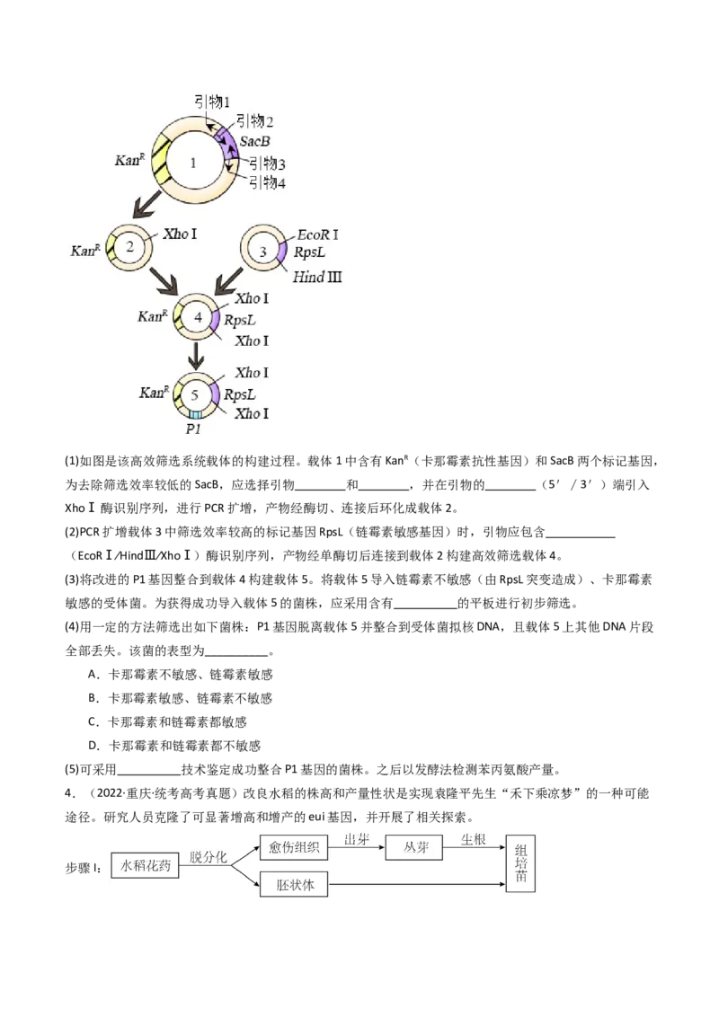 专题25基因工程（原卷卷）_近10年高考真题汇编（必刷）_十年（2014-2024）高考生物真题分项汇编（全国通用）_十年（2014-2023）高考生物真题分项汇编（全国通用）