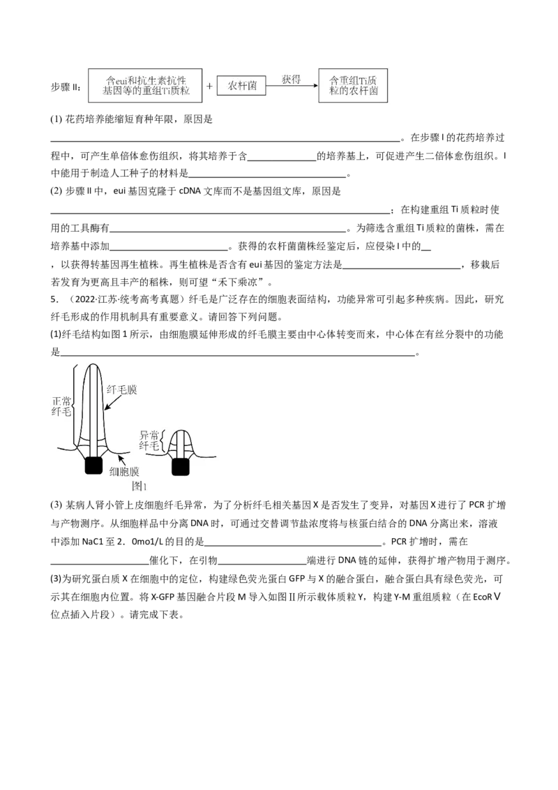 专题25基因工程（原卷卷）_近10年高考真题汇编（必刷）_十年（2014-2024）高考生物真题分项汇编（全国通用）_十年（2014-2023）高考生物真题分项汇编（全国通用）