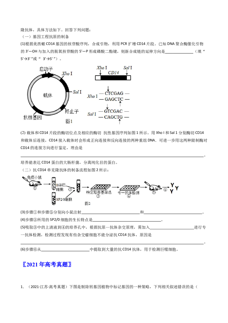 专题25基因工程（原卷卷）_近10年高考真题汇编（必刷）_十年（2014-2024）高考生物真题分项汇编（全国通用）_十年（2014-2023）高考生物真题分项汇编（全国通用）
