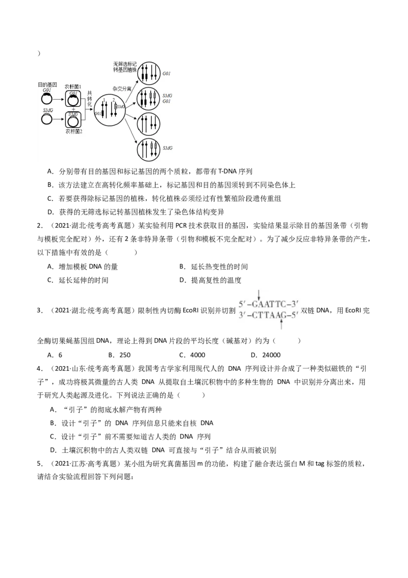 专题25基因工程（原卷卷）_近10年高考真题汇编（必刷）_十年（2014-2024）高考生物真题分项汇编（全国通用）_十年（2014-2023）高考生物真题分项汇编（全国通用）