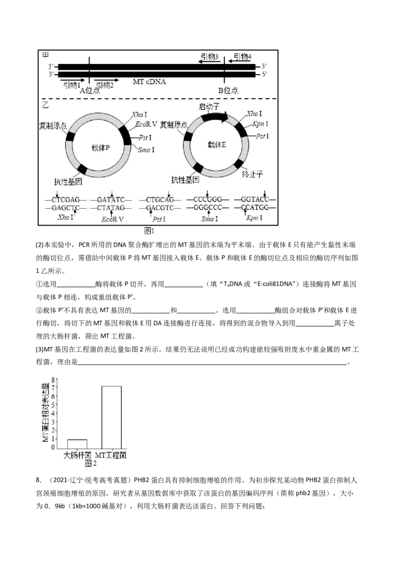 专题25基因工程（原卷卷）_近10年高考真题汇编（必刷）_十年（2014-2024）高考生物真题分项汇编（全国通用）_十年（2014-2023）高考生物真题分项汇编（全国通用）