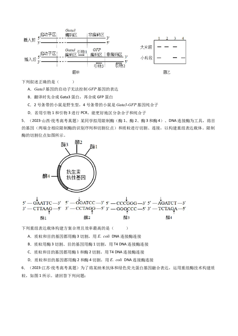 专题25基因工程（原卷卷）_近10年高考真题汇编（必刷）_十年（2014-2024）高考生物真题分项汇编（全国通用）_十年（2014-2023）高考生物真题分项汇编（全国通用）