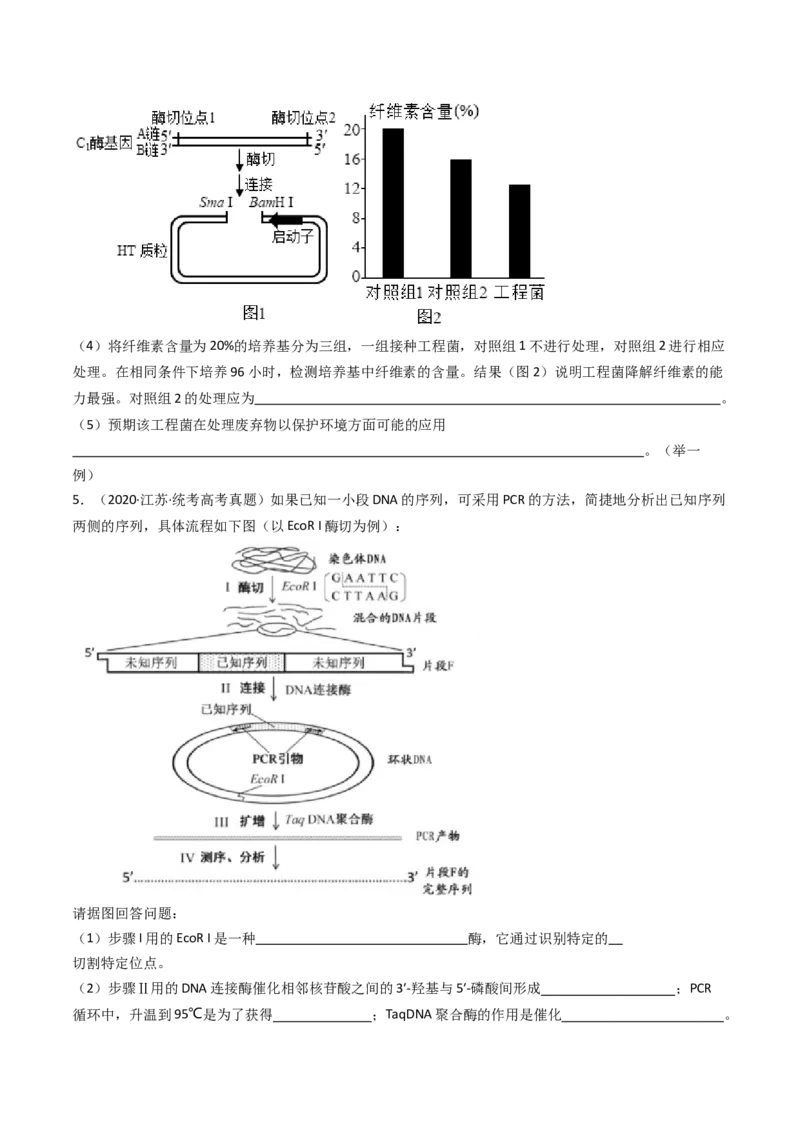 专题25基因工程（原卷卷）_近10年高考真题汇编（必刷）_十年（2014-2024）高考生物真题分项汇编（全国通用）_十年（2014-2023）高考生物真题分项汇编（全国通用）