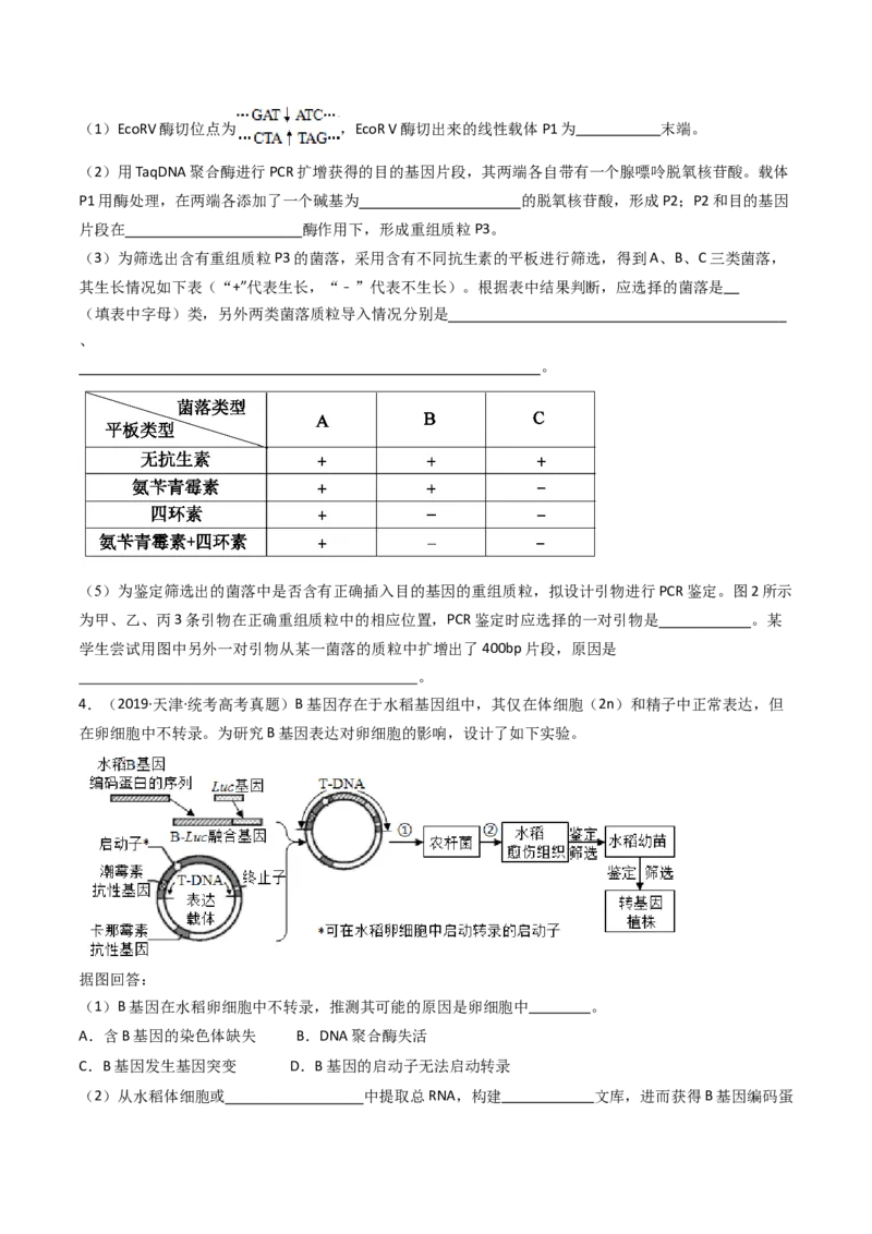 专题25基因工程（原卷卷）_近10年高考真题汇编（必刷）_十年（2014-2024）高考生物真题分项汇编（全国通用）_十年（2014-2023）高考生物真题分项汇编（全国通用）