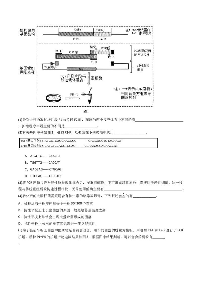 专题25基因工程（原卷卷）_近10年高考真题汇编（必刷）_十年（2014-2024）高考生物真题分项汇编（全国通用）_十年（2014-2023）高考生物真题分项汇编（全国通用）