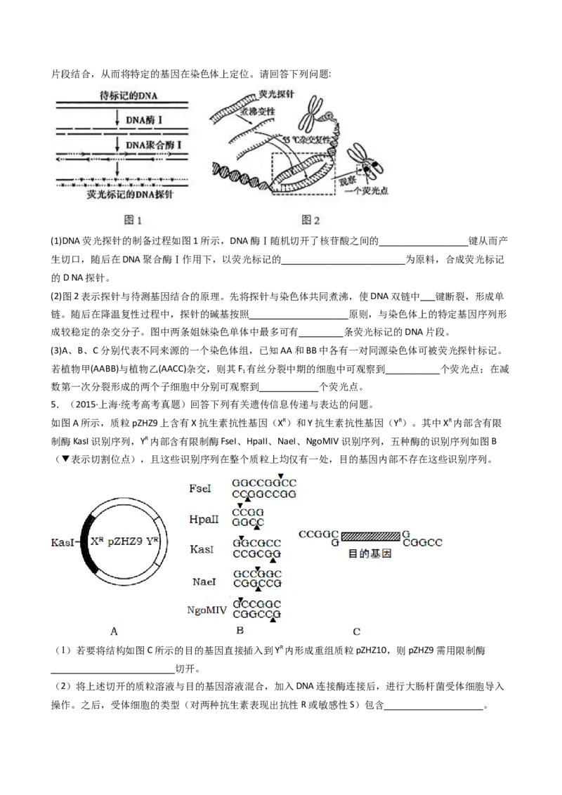 专题25基因工程（原卷卷）_近10年高考真题汇编（必刷）_十年（2014-2024）高考生物真题分项汇编（全国通用）_十年（2014-2023）高考生物真题分项汇编（全国通用）