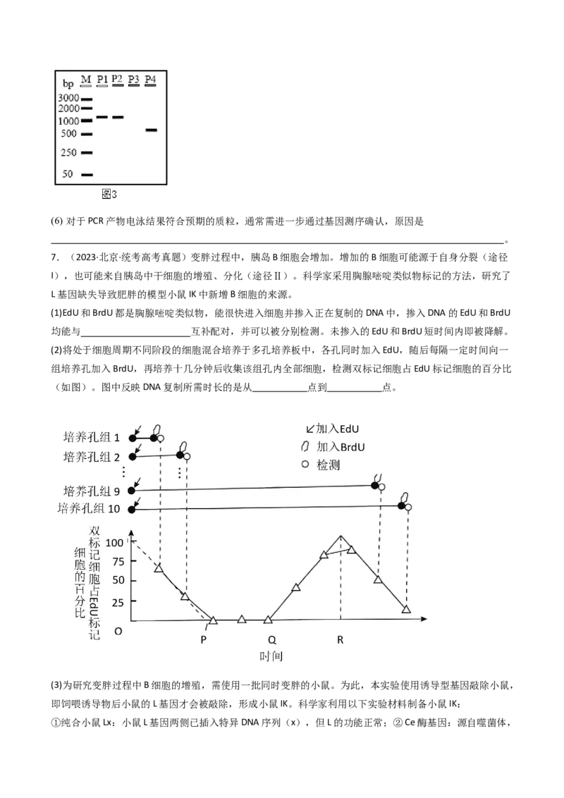 专题25基因工程（原卷卷）_近10年高考真题汇编（必刷）_十年（2014-2024）高考生物真题分项汇编（全国通用）_十年（2014-2023）高考生物真题分项汇编（全国通用）