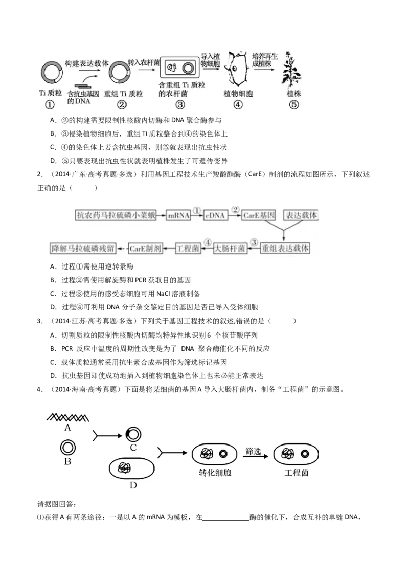专题25基因工程（原卷卷）_近10年高考真题汇编（必刷）_十年（2014-2024）高考生物真题分项汇编（全国通用）_十年（2014-2023）高考生物真题分项汇编（全国通用）