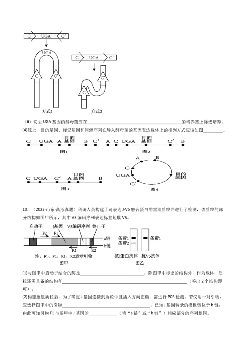 专题25基因工程（原卷卷）_近10年高考真题汇编（必刷）_十年（2014-2024）高考生物真题分项汇编（全国通用）_十年（2014-2023）高考生物真题分项汇编（全国通用）