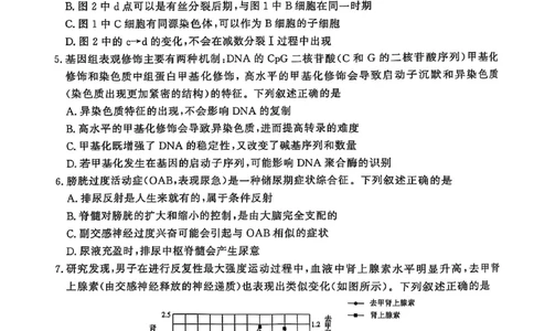 河南青桐鸣大联考2025年高三考前适应性考试-生物试卷_2025年5月_2505172025届河南省青桐鸣5月大联考高三考前适应性考试（全科）_2025届河南省高三考前适应性考试&middot;青桐鸣5月大联考生物