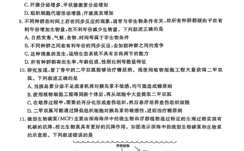 河南青桐鸣大联考2025年高三考前适应性考试-生物试卷_2025年5月_2505172025届河南省青桐鸣5月大联考高三考前适应性考试（全科）_2025届河南省高三考前适应性考试&middot;青桐鸣5月大联考生物