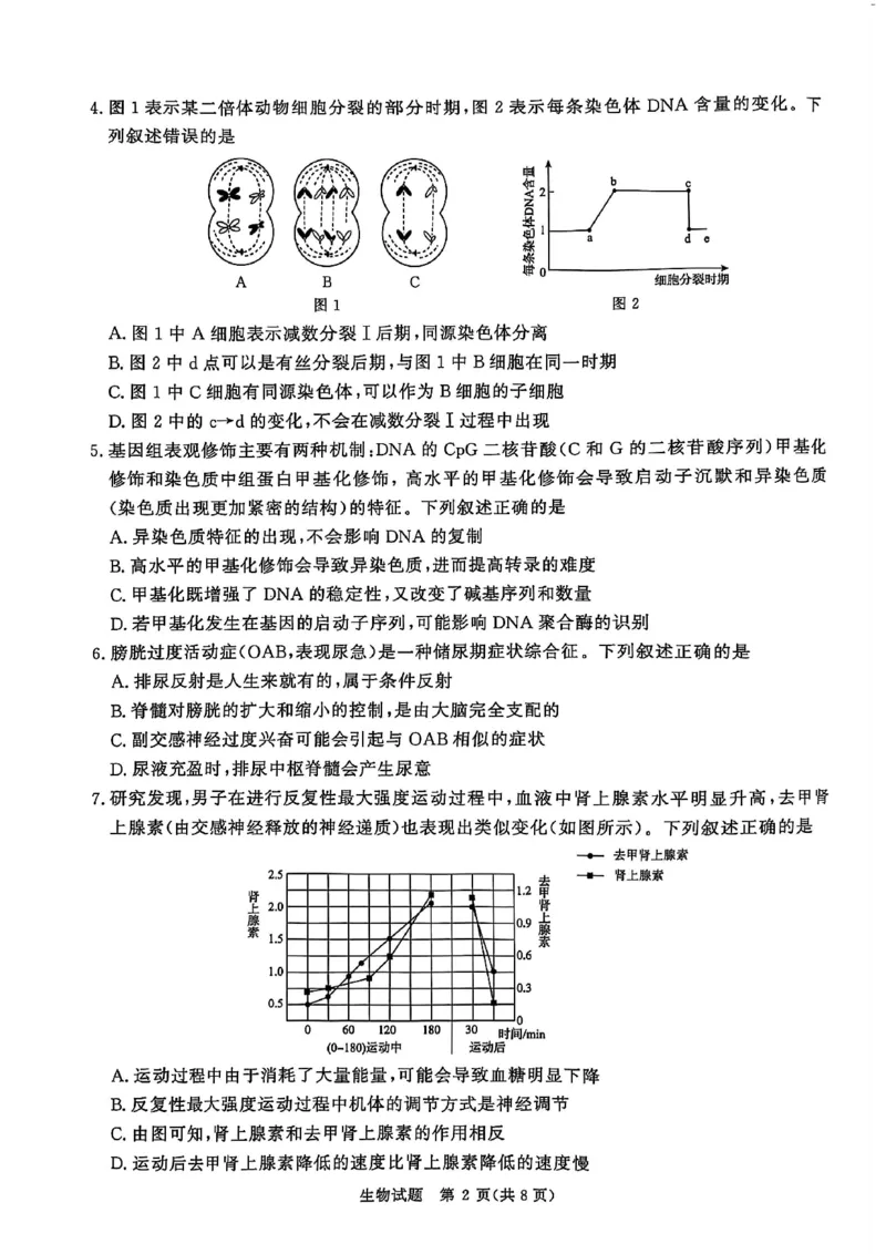 河南青桐鸣大联考2025年高三考前适应性考试-生物试卷_2025年5月_2505172025届河南省青桐鸣5月大联考高三考前适应性考试（全科）_2025届河南省高三考前适应性考试&middot;青桐鸣5月大联考生物
