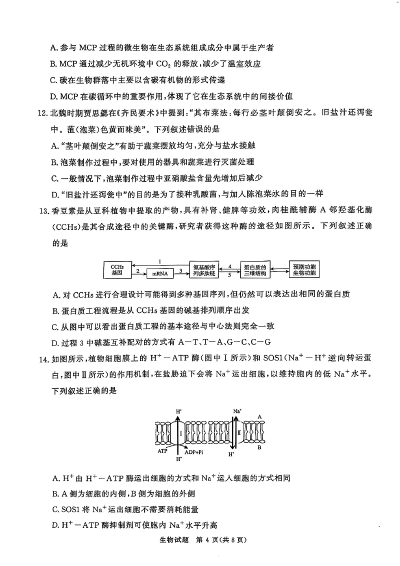 河南青桐鸣大联考2025年高三考前适应性考试-生物试卷_2025年5月_2505172025届河南省青桐鸣5月大联考高三考前适应性考试（全科）_2025届河南省高三考前适应性考试&middot;青桐鸣5月大联考生物