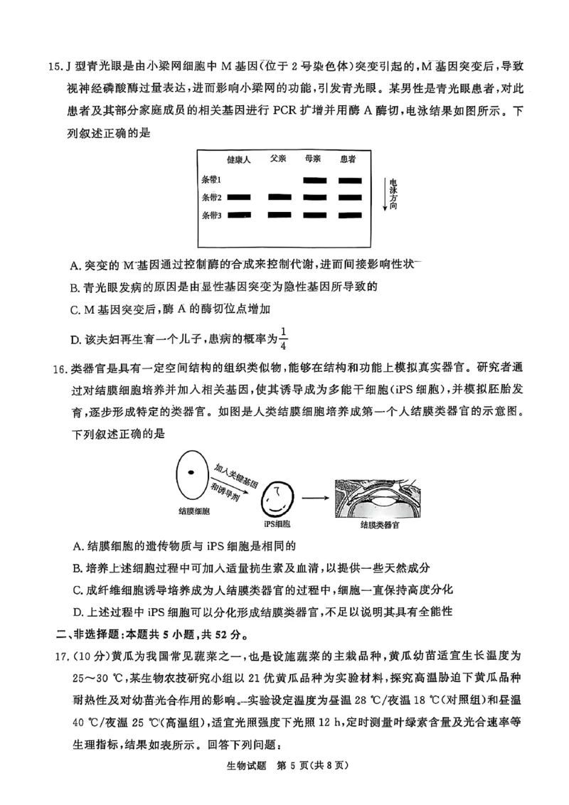 河南青桐鸣大联考2025年高三考前适应性考试-生物试卷_2025年5月_2505172025届河南省青桐鸣5月大联考高三考前适应性考试（全科）_2025届河南省高三考前适应性考试&middot;青桐鸣5月大联考生物