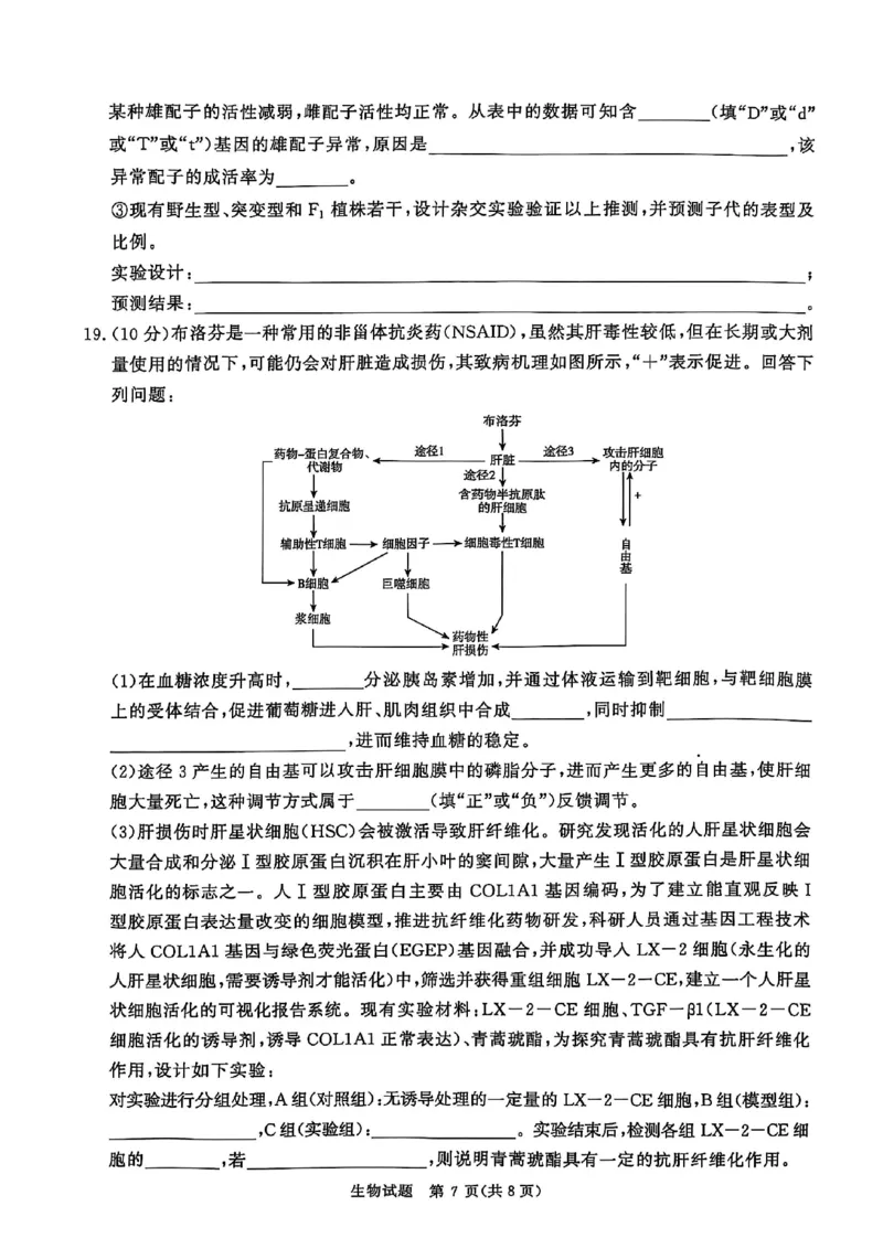 河南青桐鸣大联考2025年高三考前适应性考试-生物试卷_2025年5月_2505172025届河南省青桐鸣5月大联考高三考前适应性考试（全科）_2025届河南省高三考前适应性考试&middot;青桐鸣5月大联考生物