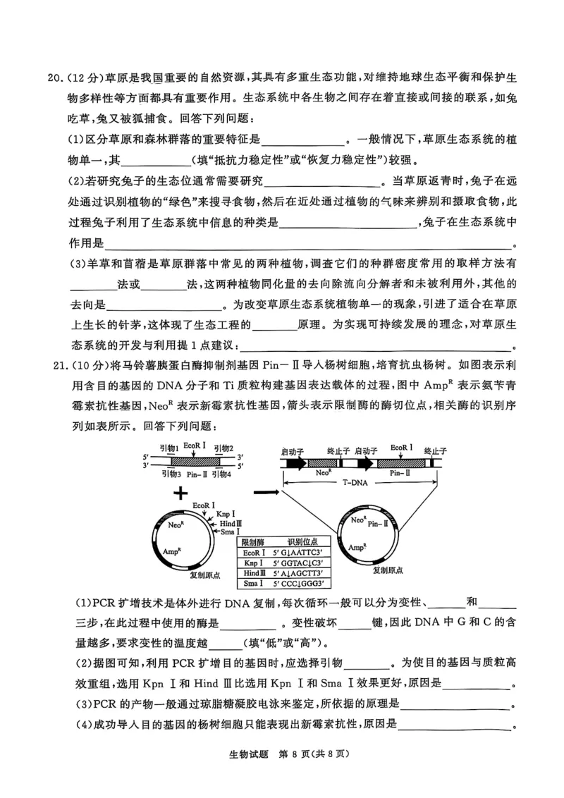 河南青桐鸣大联考2025年高三考前适应性考试-生物试卷_2025年5月_2505172025届河南省青桐鸣5月大联考高三考前适应性考试（全科）_2025届河南省高三考前适应性考试&middot;青桐鸣5月大联考生物