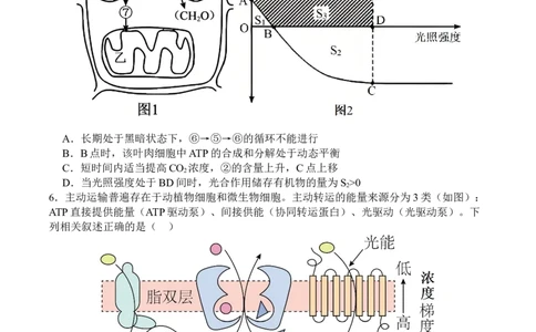 生物_2025年10月_251007四川省广安中学2025-2026学年高三上学期10月月考（全科）_四川省广安中学2025-2026学年高三上学期9月月考生物试题（有答案）