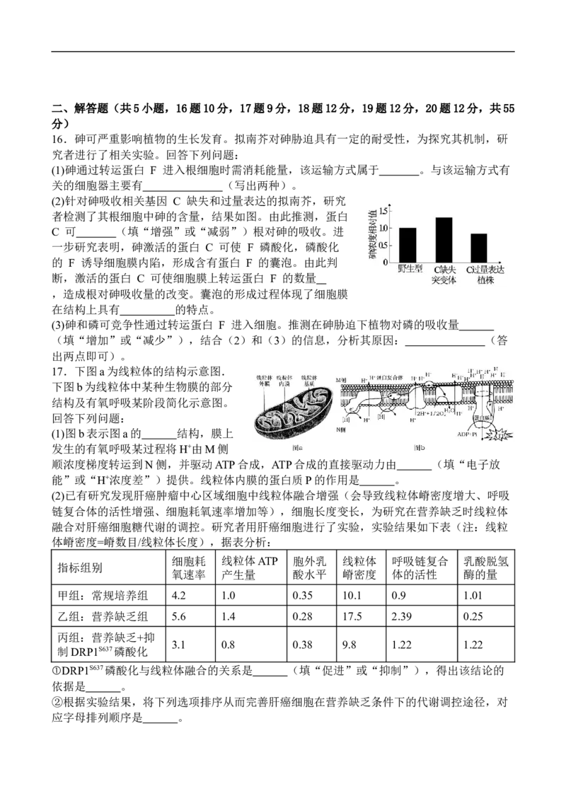 生物_2025年10月_251007四川省广安中学2025-2026学年高三上学期10月月考（全科）_四川省广安中学2025-2026学年高三上学期9月月考生物试题（有答案）