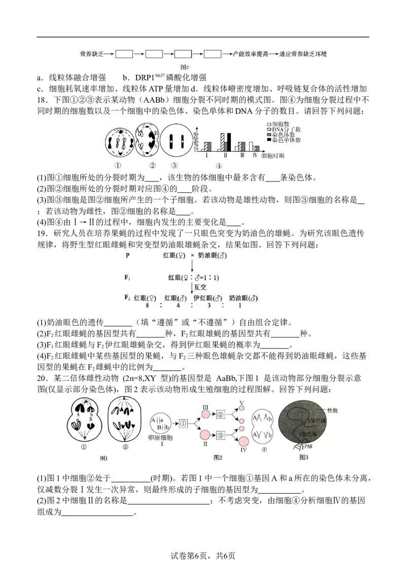 生物_2025年10月_251007四川省广安中学2025-2026学年高三上学期10月月考（全科）_四川省广安中学2025-2026学年高三上学期9月月考生物试题（有答案）