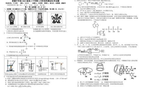 四川省成都市树德中学2024-2025学年高三下学期4月月考试题化学PDF版含答案_2025年4月_250414四川省成都市树德中学2024-2025学年高三下学期4月月考（全科）