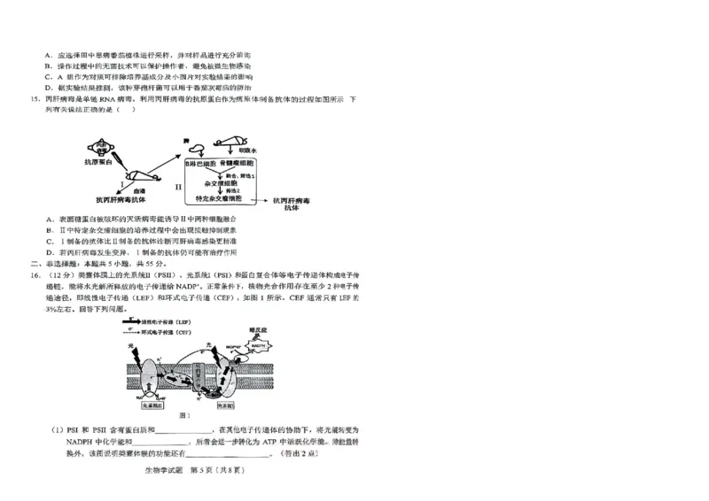 生物_2025年5月_250511合肥市2025届高三年级5月教学质量检测（合肥三模）（全科）_合肥市2025届高三年级5月教学质量检测（合肥三模）生物