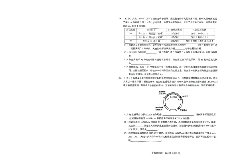 生物_2025年5月_250511合肥市2025届高三年级5月教学质量检测（合肥三模）（全科）_合肥市2025届高三年级5月教学质量检测（合肥三模）生物