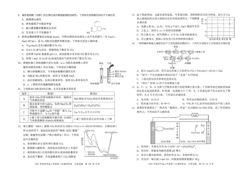 深圳市2024-2025学年高三下学期第一次调研考试化学试题_2025年2月_2502202025届广东省深圳市高三下学期第一次调研考试（全科）_2025届广东省深圳市高三下学期第一次调研考试化学