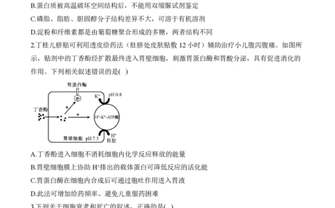2024届明日之星高考生物精英模拟卷山东版_2024高考押题卷_72024正确教育全系列_2024明日之星全系列_（新高考）2024《明日之星&middot;高考精英模拟卷》（九科全）各一套