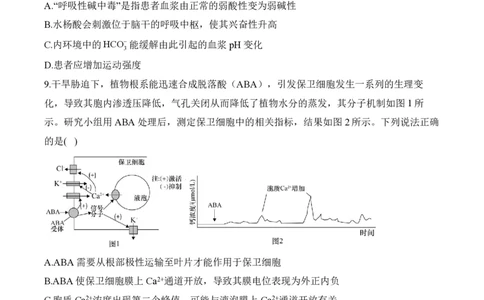 2024届明日之星高考生物精英模拟卷山东版_2024高考押题卷_72024正确教育全系列_2024明日之星全系列_（新高考）2024《明日之星&middot;高考精英模拟卷》（九科全）各一套