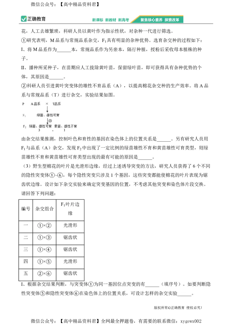 2024届明日之星高考生物精英模拟卷山东版_2024高考押题卷_72024正确教育全系列_2024明日之星全系列_（新高考）2024《明日之星&middot;高考精英模拟卷》（九科全）各一套