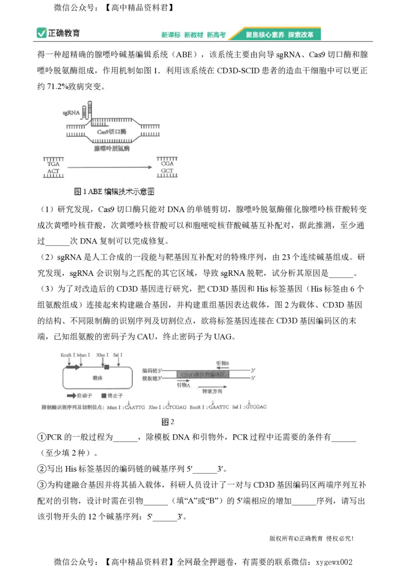2024届明日之星高考生物精英模拟卷山东版_2024高考押题卷_72024正确教育全系列_2024明日之星全系列_（新高考）2024《明日之星&middot;高考精英模拟卷》（九科全）各一套