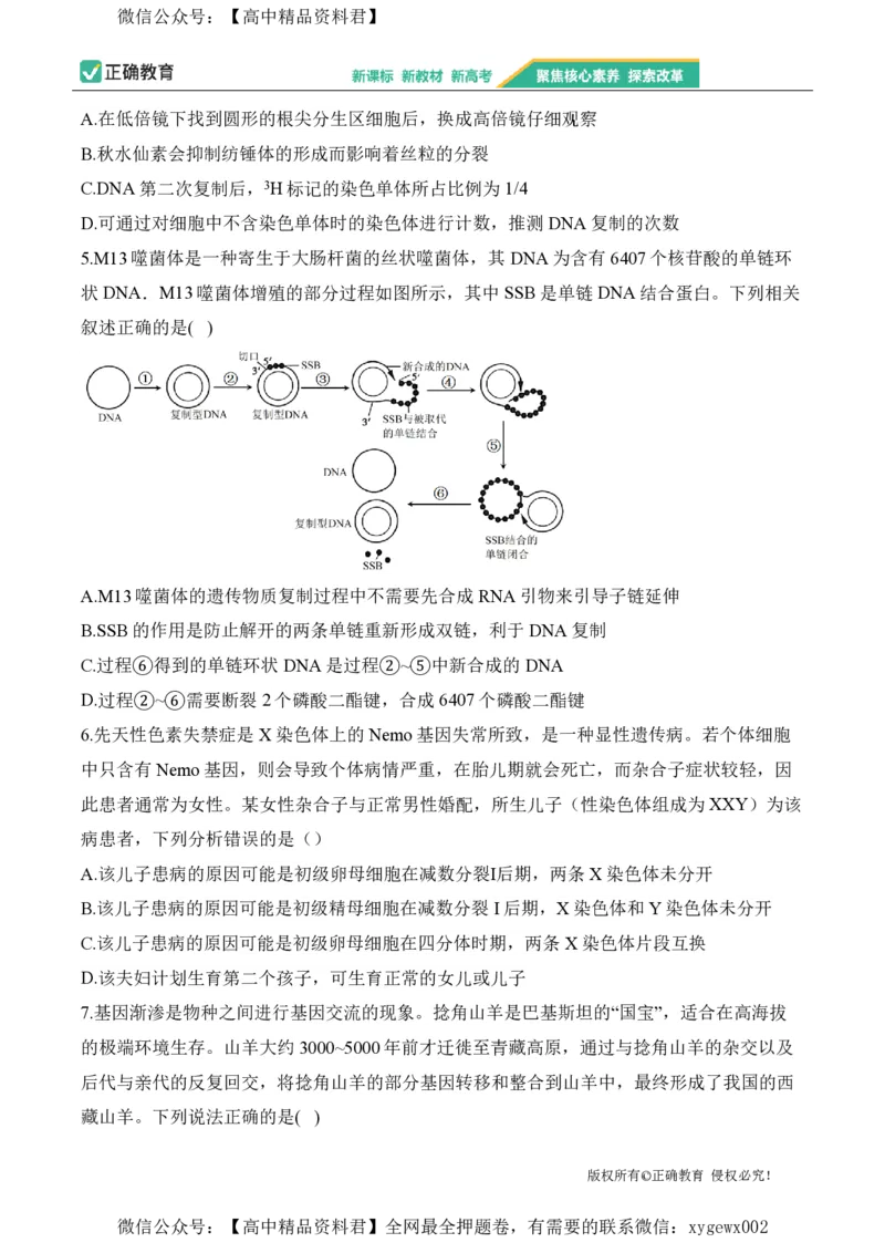 2024届明日之星高考生物精英模拟卷山东版_2024高考押题卷_72024正确教育全系列_2024明日之星全系列_（新高考）2024《明日之星&middot;高考精英模拟卷》（九科全）各一套