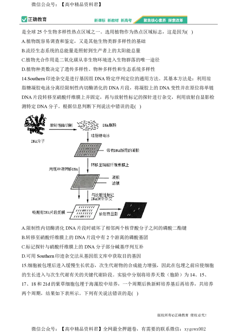 2024届明日之星高考生物精英模拟卷山东版_2024高考押题卷_72024正确教育全系列_2024明日之星全系列_（新高考）2024《明日之星&middot;高考精英模拟卷》（九科全）各一套