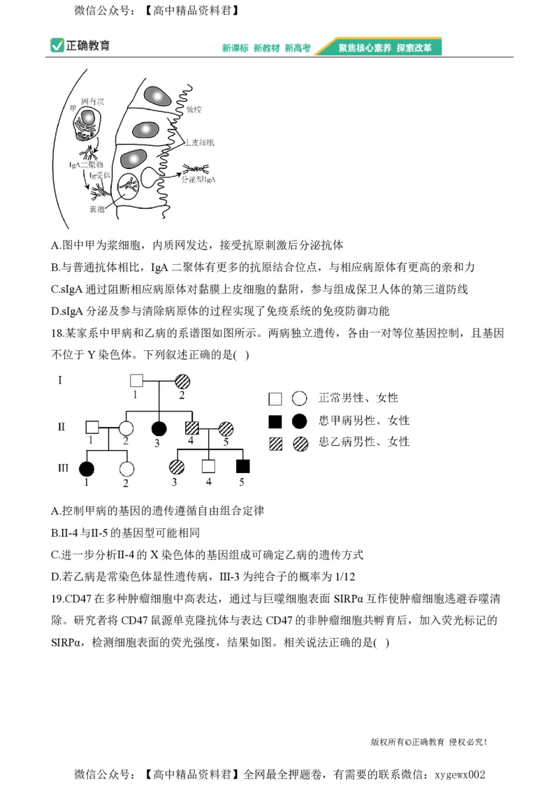 2024届明日之星高考生物精英模拟卷山东版_2024高考押题卷_72024正确教育全系列_2024明日之星全系列_（新高考）2024《明日之星&middot;高考精英模拟卷》（九科全）各一套