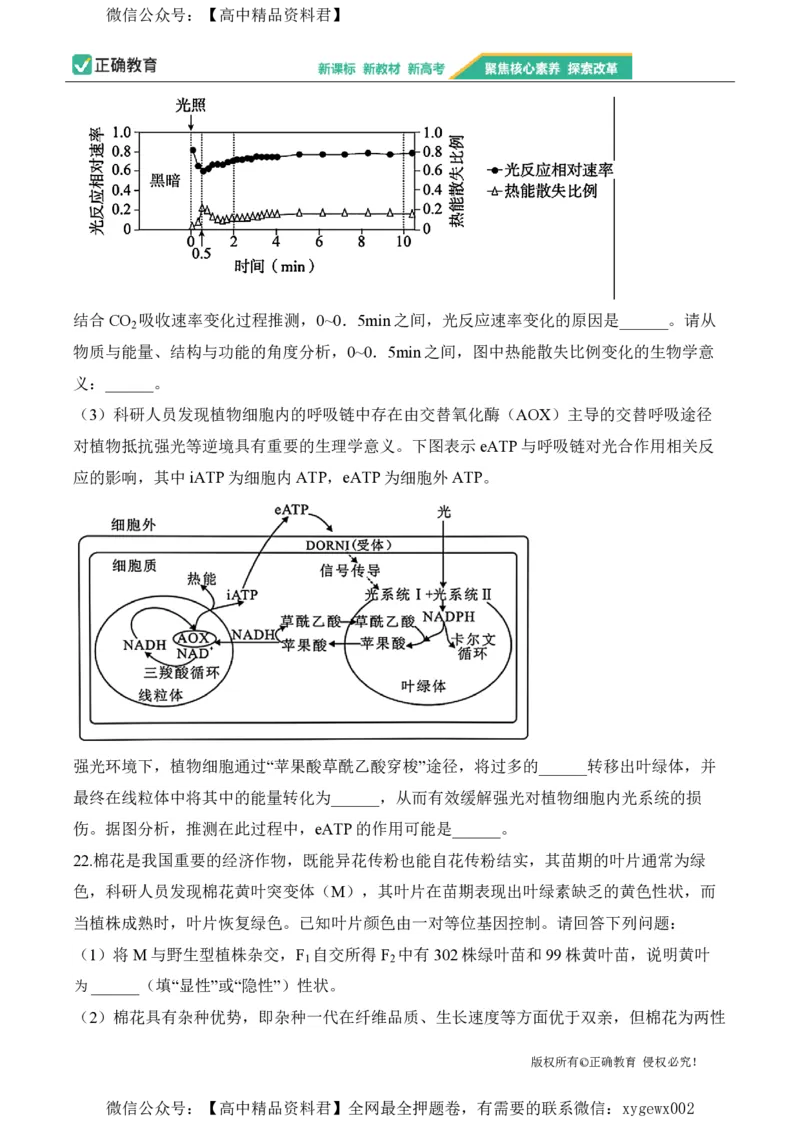 2024届明日之星高考生物精英模拟卷山东版_2024高考押题卷_72024正确教育全系列_2024明日之星全系列_（新高考）2024《明日之星&middot;高考精英模拟卷》（九科全）各一套