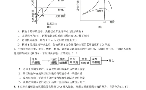 四川省成都市第七中学2025-2026学年高三上学期10月月考生物_2025年10月_251014四川省成都市第七中学2025-2026学年高三上学期10月月考（全科）