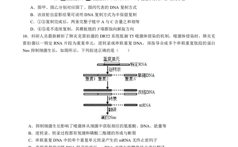 四川省成都市第七中学2025-2026学年高三上学期10月月考生物_2025年10月_251014四川省成都市第七中学2025-2026学年高三上学期10月月考（全科）