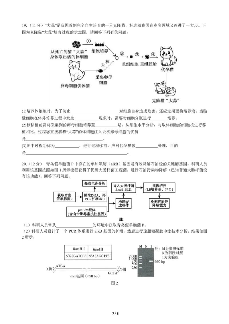 四川省成都市第七中学2025-2026学年高三上学期10月月考生物_2025年10月_251014四川省成都市第七中学2025-2026学年高三上学期10月月考（全科）