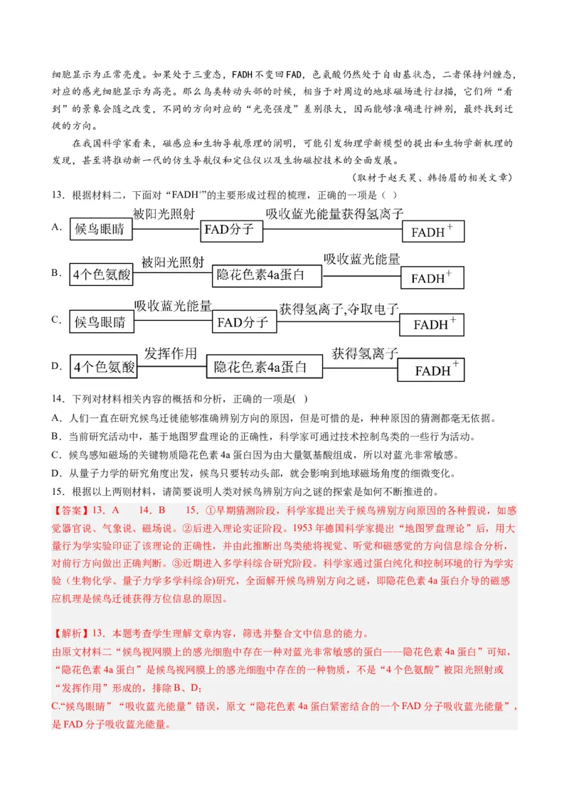 专题04实用类文本阅读-学易金卷：2023年高考真题和模拟题语文分项汇编（解析卷）_近10年高考真题汇编（必刷）_十年（2014-2024）高考语文真题分项汇编（全国通用）
