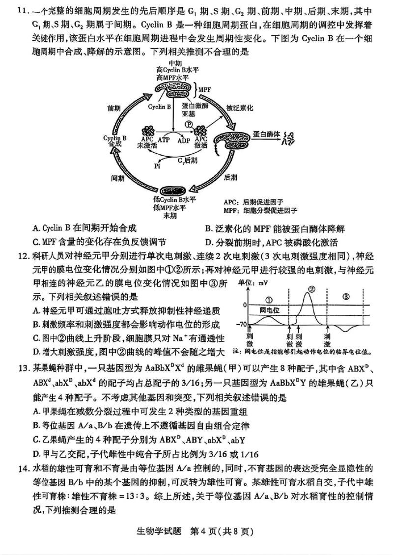 生物试卷_2025年2月_250217天一大联考2025届高三四省联考（陕晋青宁）_天一大联考2025届高三四省联考（陕晋青宁）生物