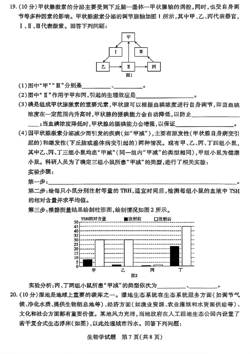 生物试卷_2025年2月_250217天一大联考2025届高三四省联考（陕晋青宁）_天一大联考2025届高三四省联考（陕晋青宁）生物