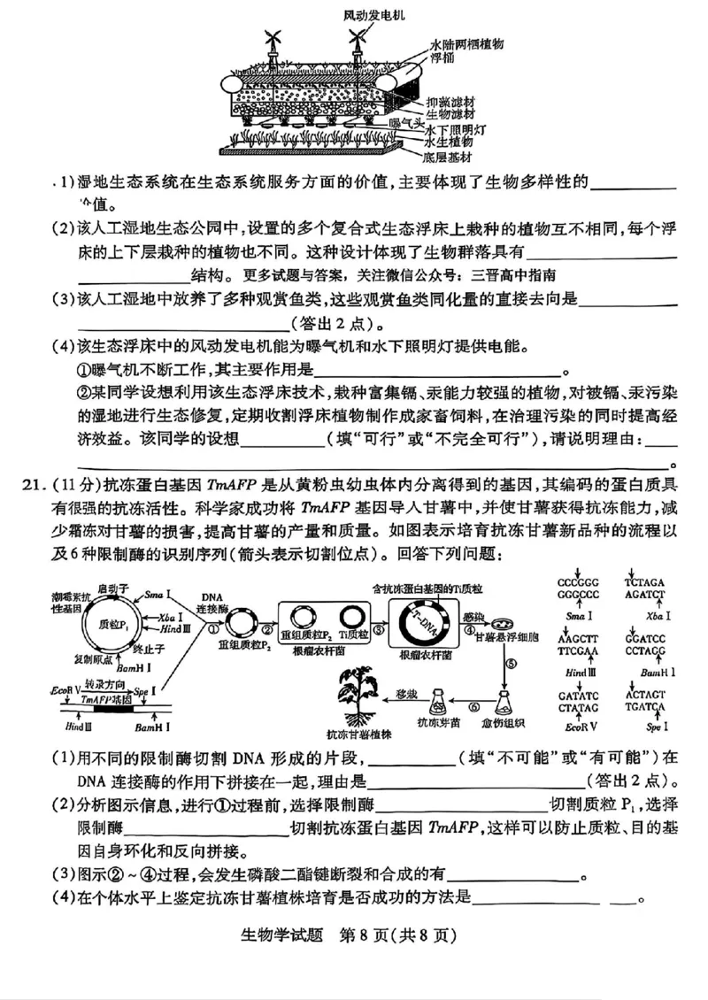 生物试卷_2025年2月_250217天一大联考2025届高三四省联考（陕晋青宁）_天一大联考2025届高三四省联考（陕晋青宁）生物