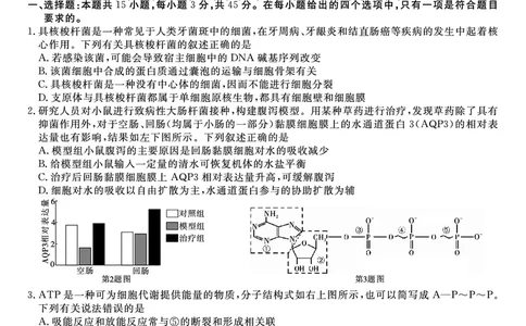 生物&middot;2025年9月高三开学联考_2025年9月_250909安徽省皖江名校联盟2026届高三9月开学摸底考试（全科）_生物