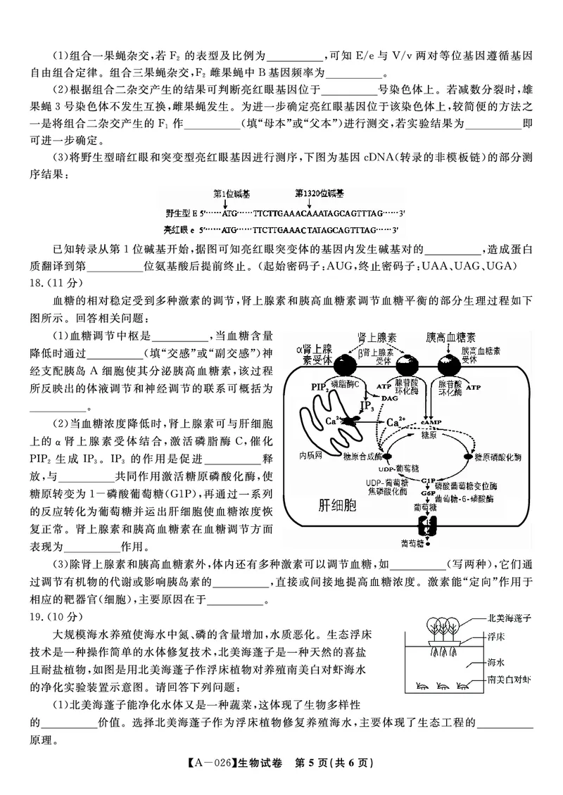 生物&middot;2025年9月高三开学联考_2025年9月_250909安徽省皖江名校联盟2026届高三9月开学摸底考试（全科）_生物
