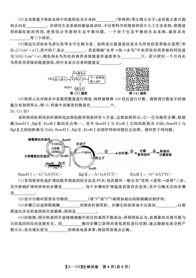生物&middot;2025年9月高三开学联考_2025年9月_250909安徽省皖江名校联盟2026届高三9月开学摸底考试（全科）_生物