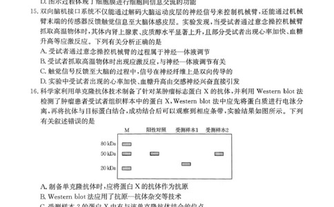 河南省创新发展联盟2025届高三下学期适应性考试生物试卷（图片版，含解析）_2025年5月_2505252025届河南省联盟高三下学期高考适应性考试（创新发展联盟三模）（全科）