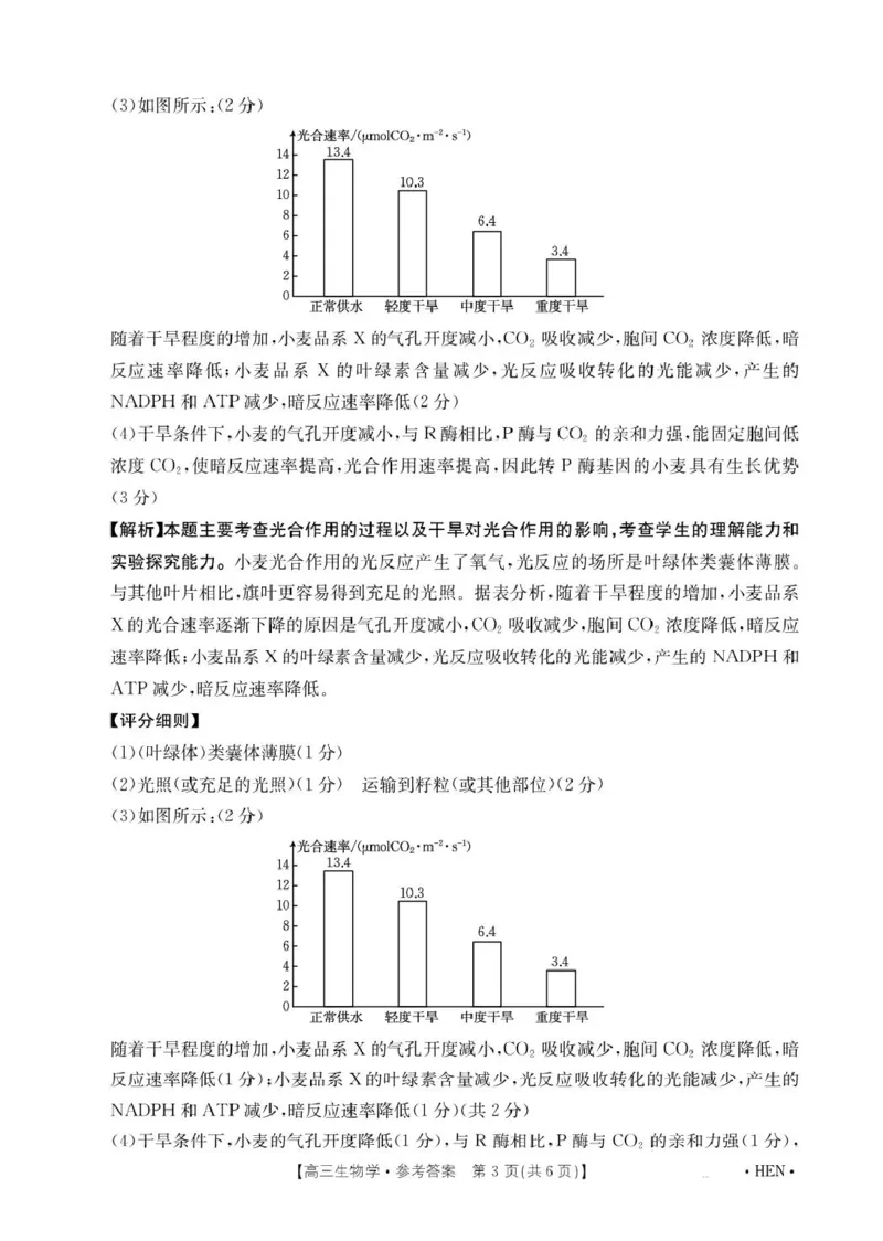 河南省创新发展联盟2025届高三下学期适应性考试生物试卷（图片版，含解析）_2025年5月_2505252025届河南省联盟高三下学期高考适应性考试（创新发展联盟三模）（全科）