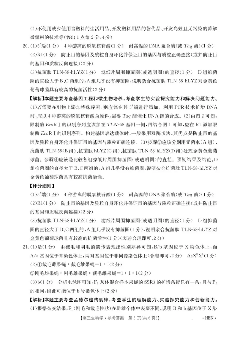 河南省创新发展联盟2025届高三下学期适应性考试生物试卷（图片版，含解析）_2025年5月_2505252025届河南省联盟高三下学期高考适应性考试（创新发展联盟三模）（全科）